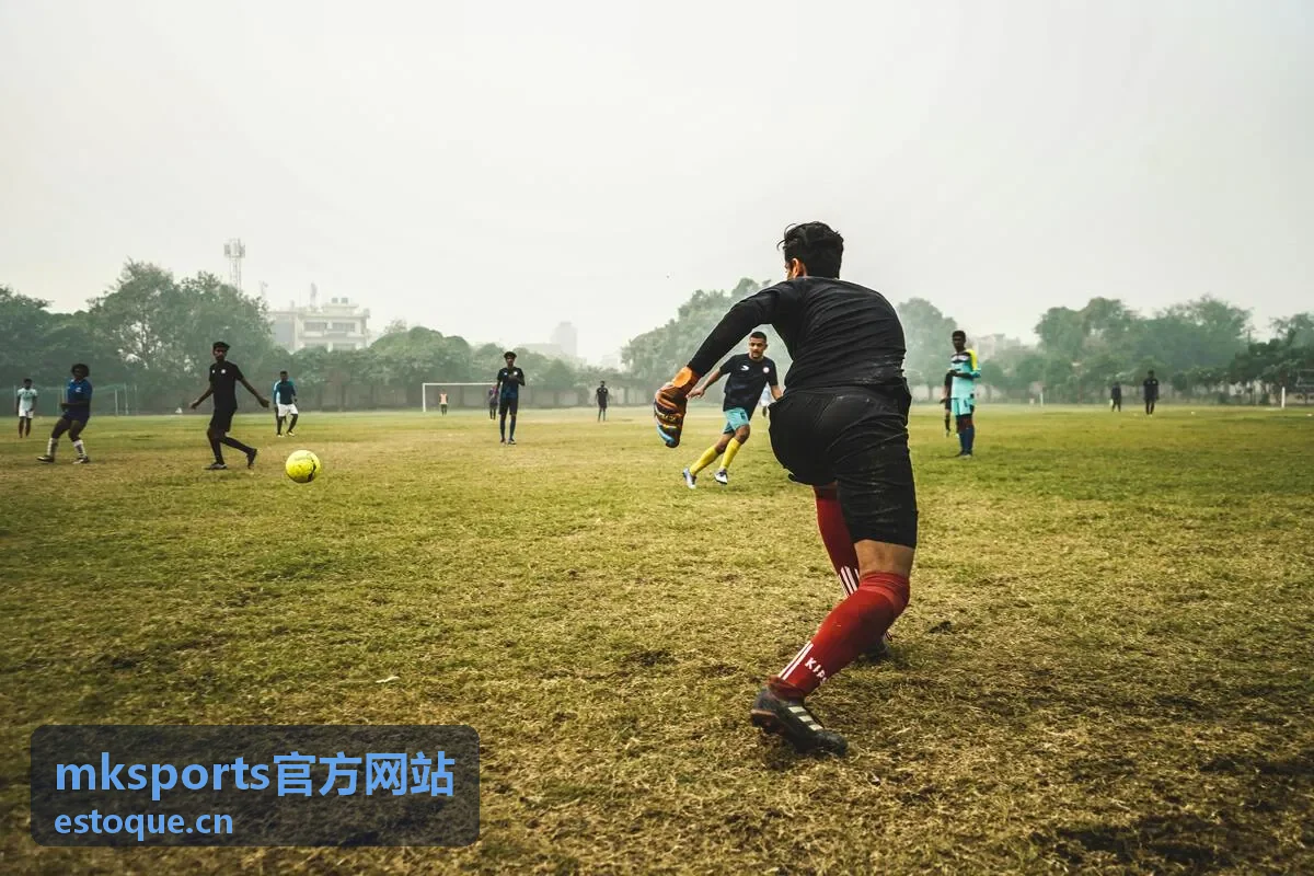 mksports官方网站运动学院频道整理的运动知识与训练内容